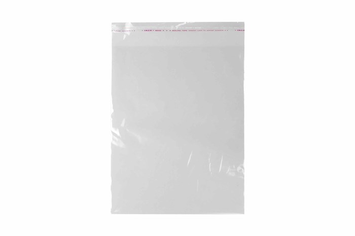 Пакет ПП с клапаном 180х230(260)мм 25мкр (1000шт) 24171