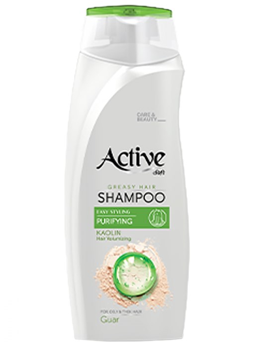 Шампунь для жирных волос Active (Актив) Greasy hair, 350 мл ИРАН 1/12 НФ-00019736