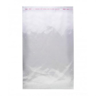 Пакет ПП с клапаном 240х280(310)мм 25мкм (1000шт) МВ НФ-00003077