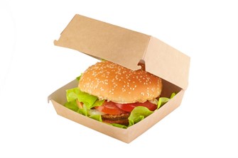 {{photo.Alt || photo.Description || 'ОСК Короб под гамбургер ECO BURGER  M 100x100х60 (50/300шт)'}}