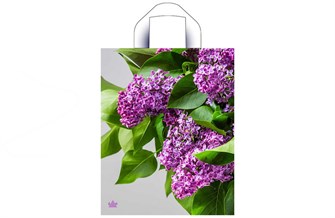 {{photo.Alt || photo.Description || 'Тико 35х28 Сиреневый цвет/14уп х 50шт/ ПВД 55мкм (700шт) петля'}}