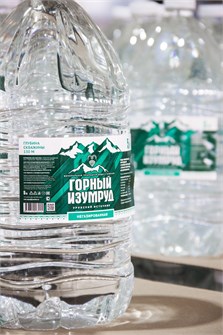 Вода Горный изумруд негазированная питьевая 5л 1/2  (Д) НФ-00017635