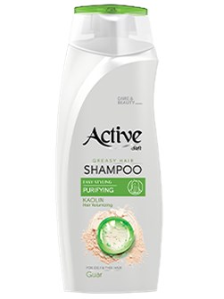 Шампунь для жирных волос Active (Актив) Greasy hair, 350 мл ИРАН 1/12 НФ-00019736