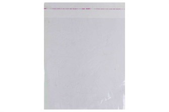 Пакет ПП с клапаном 100х155(185)мм 25мкр (1000шт) 24164