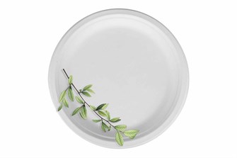 {{photo.Alt || photo.Description || 'БИО Тарелка  д 230 Экотайм  /18уп *50 шт/(900шт)'}}
